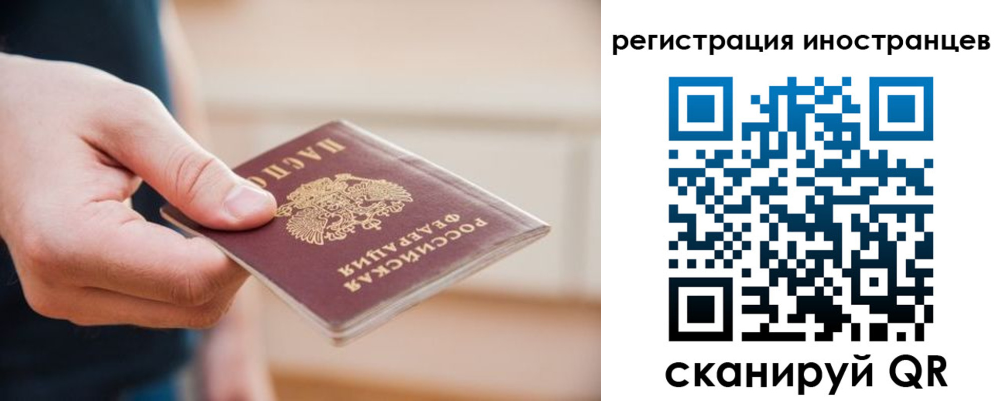 прописка гарантия в Щёкино